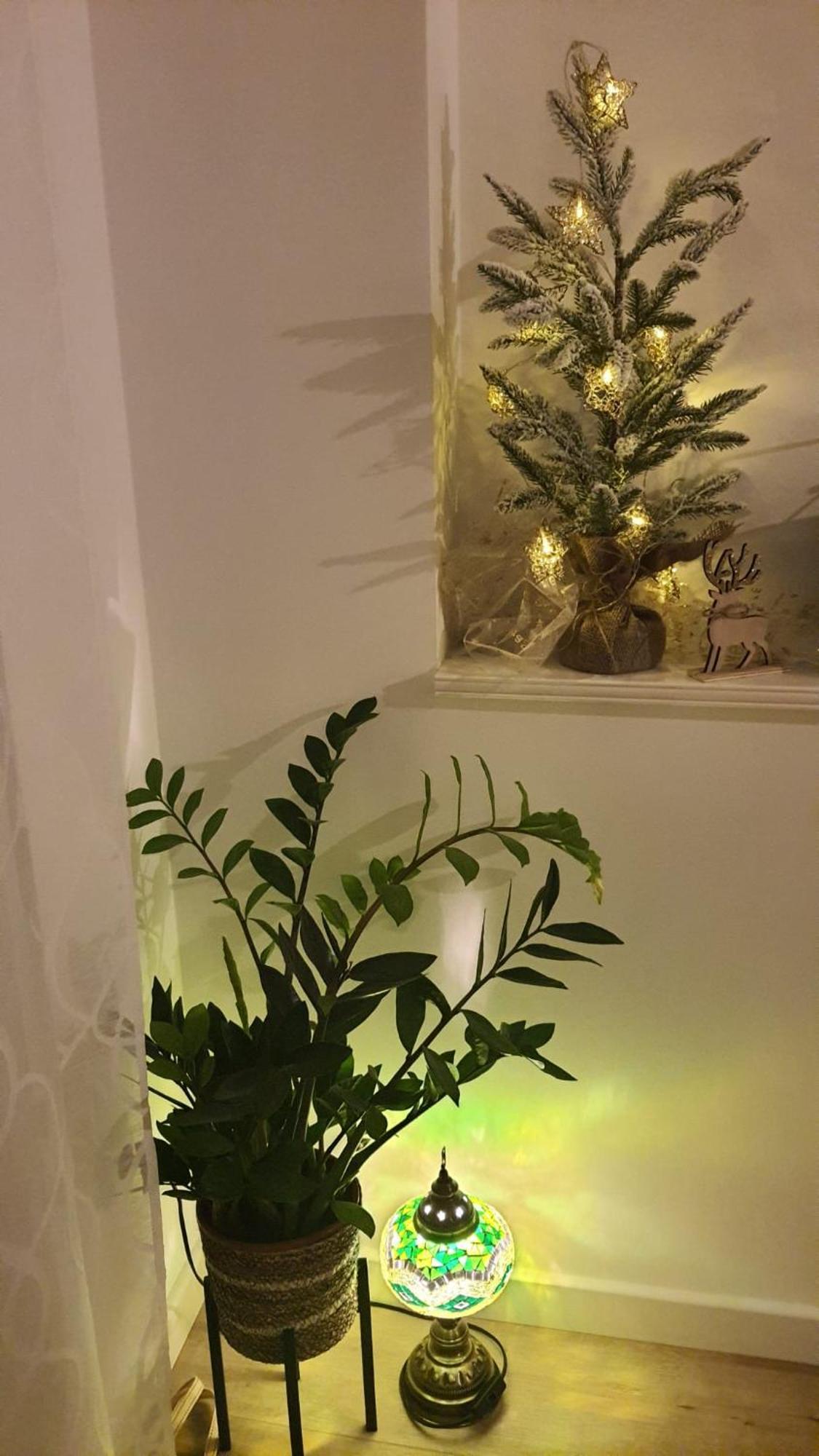 Apartman Lili Split Dış mekan fotoğraf